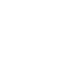 éléphant