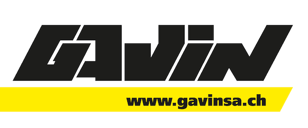Logo Gavin