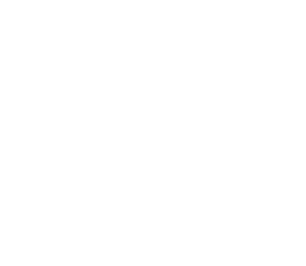 Zebre_Blanc Zèbre